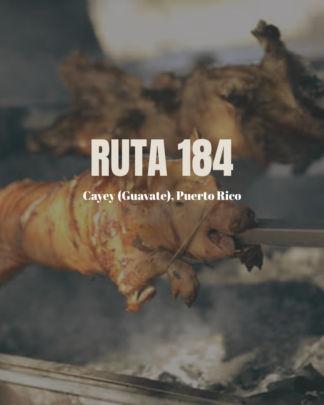 Ruta 184